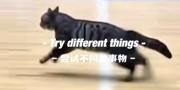 开云官网-猫猫也想打球，广东四川CBA比赛中场地内跑进一只小猫
